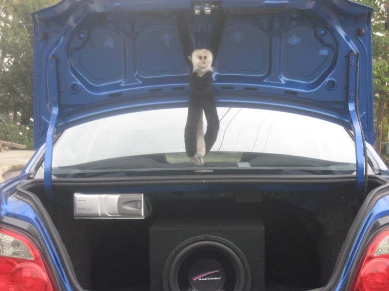 Name:  IMG_1585.jpg
Views: 25
Size:  62.7 KB