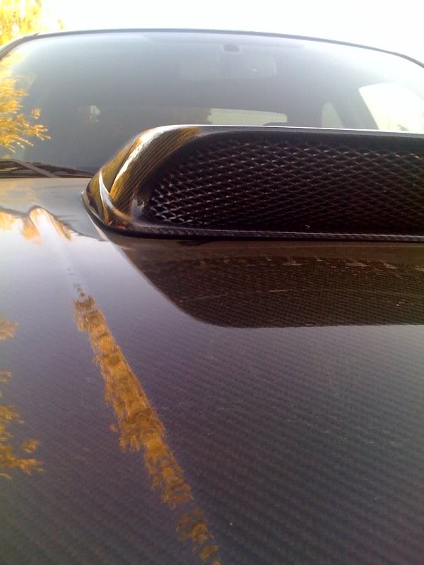 Name:  scoop1.jpg
Views: 52
Size:  51.1 KB