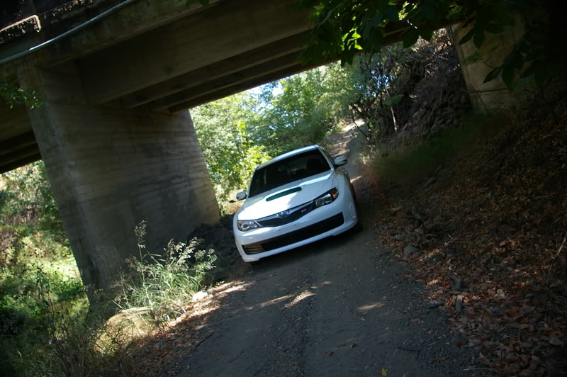 Name:  IMGP8431.jpg
Views: 121
Size:  148.1 KB