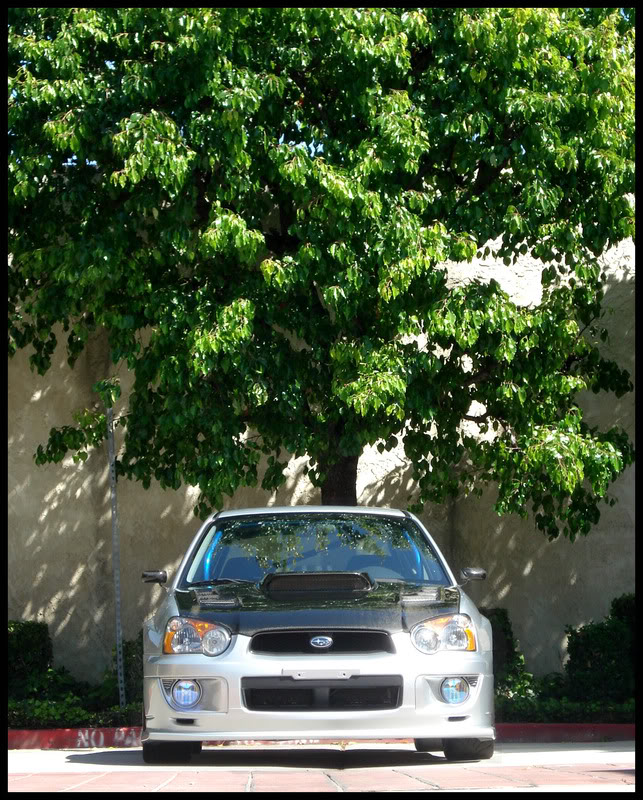 Name:  HIN2.jpg
Views: 31
Size:  186.2 KB