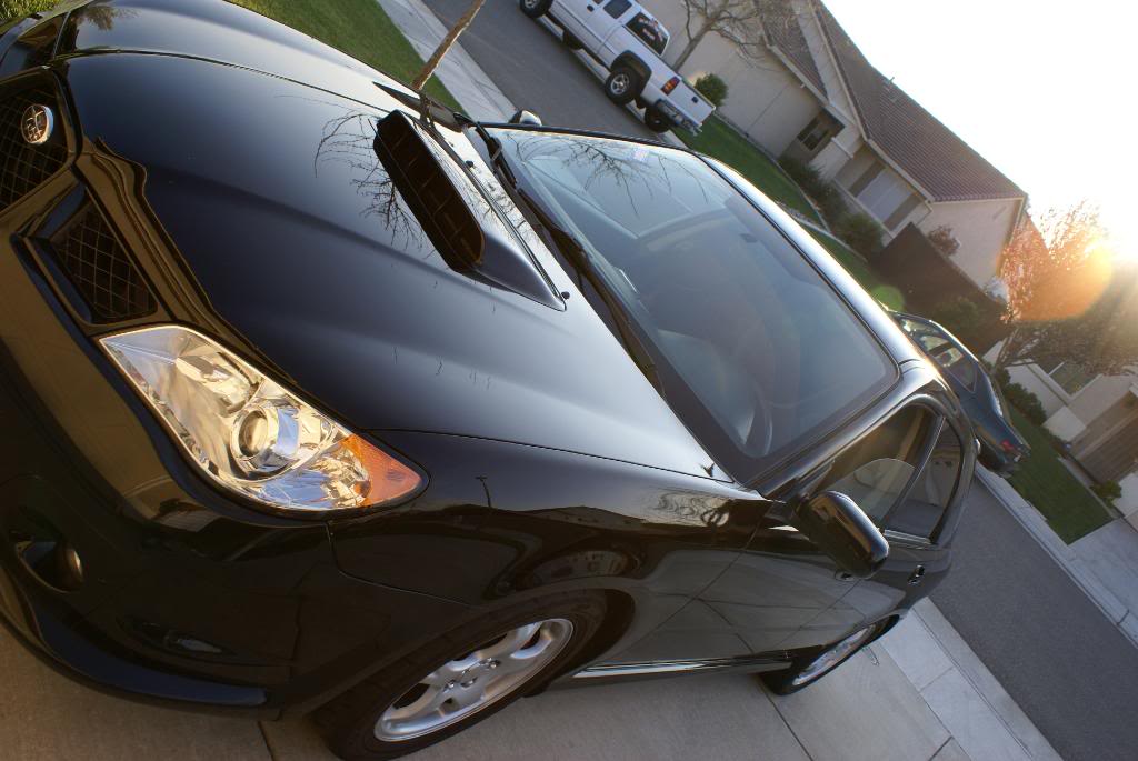 Name:  DSC09451.jpg
Views: 32
Size:  105.1 KB