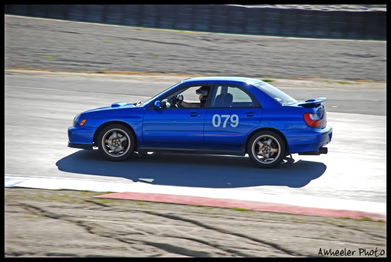 Name:  Theo2.jpg
Views: 17
Size:  76.6 KB