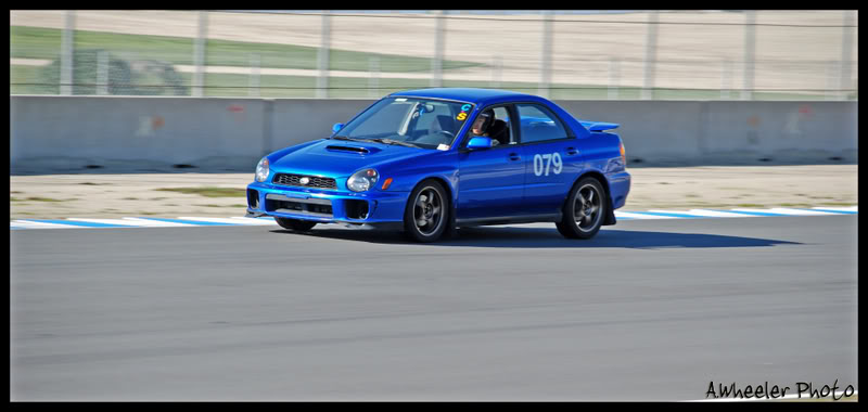 Name:  Theo1.jpg
Views: 22
Size:  46.3 KB