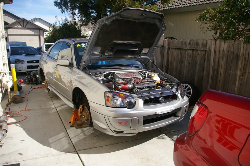 Name:  IMGP7095.jpg
Views: 99
Size:  160.7 KB