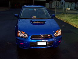 pics of my blue/gold sti-front.jpg