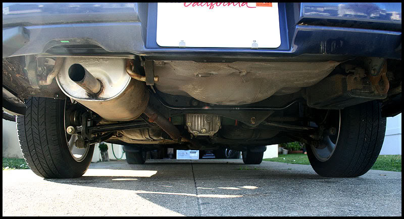 Name:  IMG_3175copy.jpg
Views: 196
Size:  88.7 KB