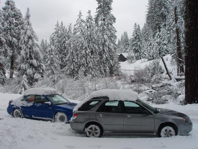 Name:  Pinecrest064.jpg
Views: 24
Size:  103.7 KB