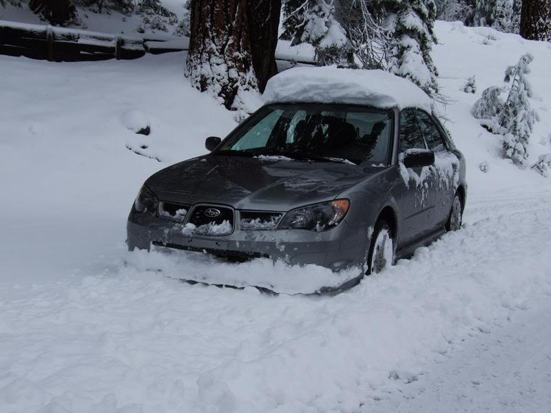 Name:  Pinecrest060.jpg
Views: 22
Size:  56.3 KB