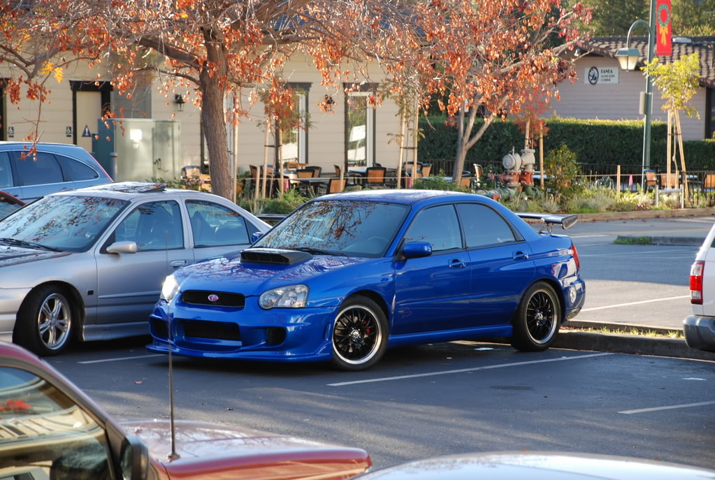 Name:  DSC_0136.jpg
Views: 24
Size:  204.2 KB