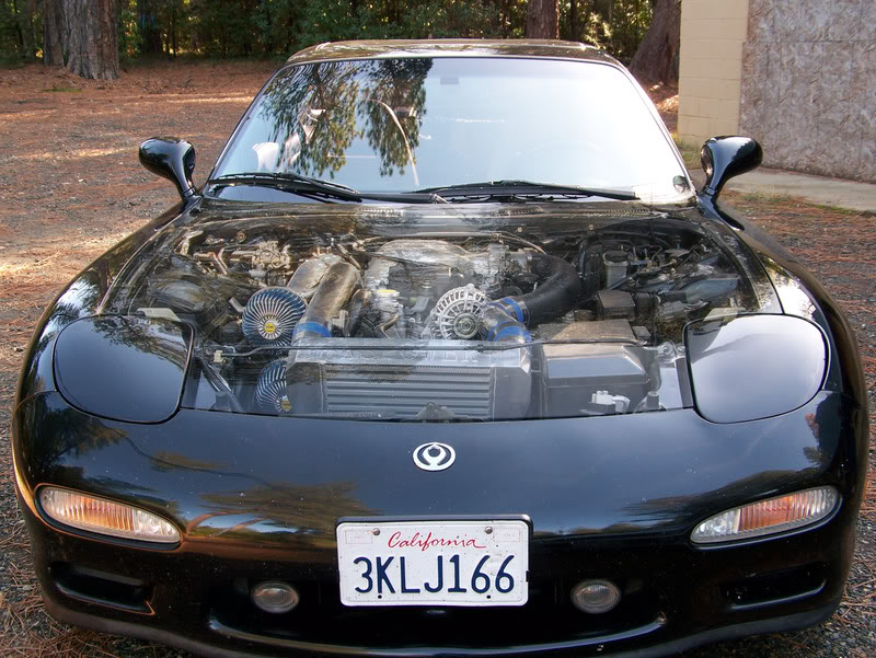 Name:  100_2772.jpg
Views: 16
Size:  136.0 KB