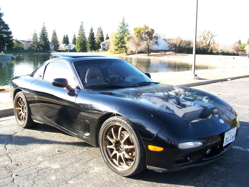 Name:  100_2832.jpg
Views: 14
Size:  131.5 KB