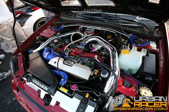 Name:  HINTampa7.jpg
Views: 75
Size:  94.7 KB