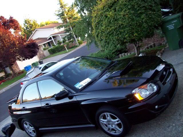 Name:  000_0057.jpg
Views: 59
Size:  65.6 KB