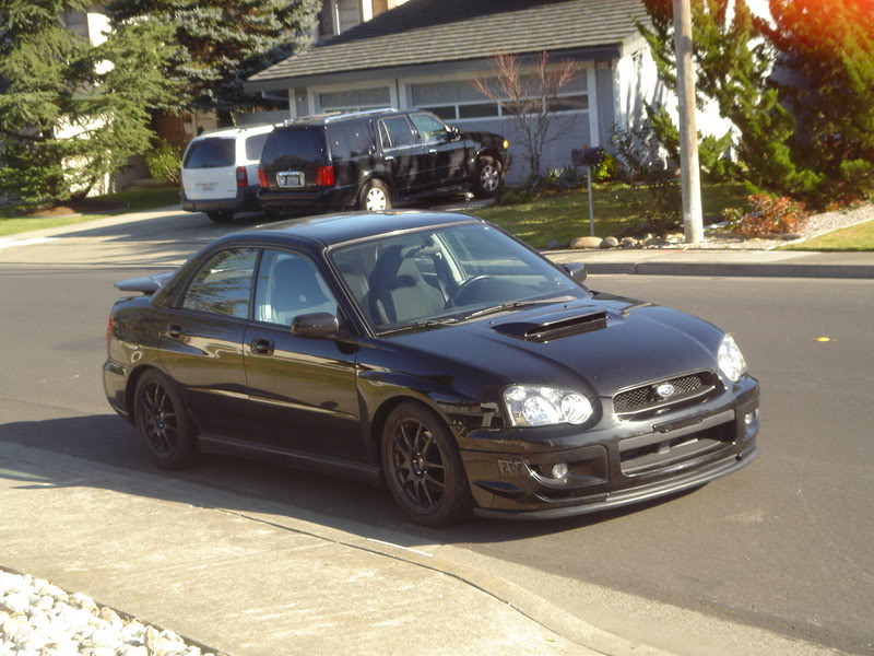 Name:  DSC02502.jpg
Views: 65
Size:  104.3 KB