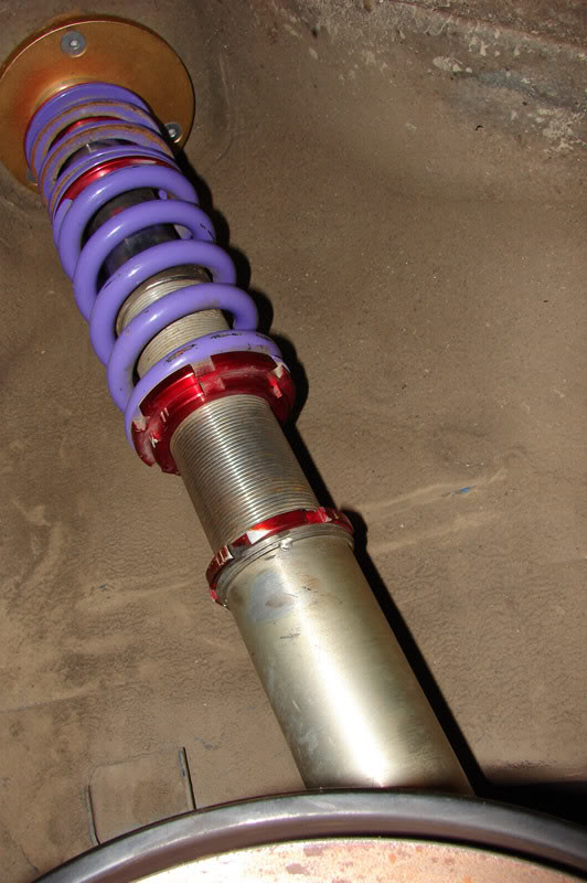 Name:  DSC03617.jpg
Views: 88
Size:  81.8 KB