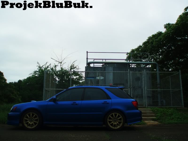 Name:  P1010426.jpg
Views: 21
Size:  64.9 KB