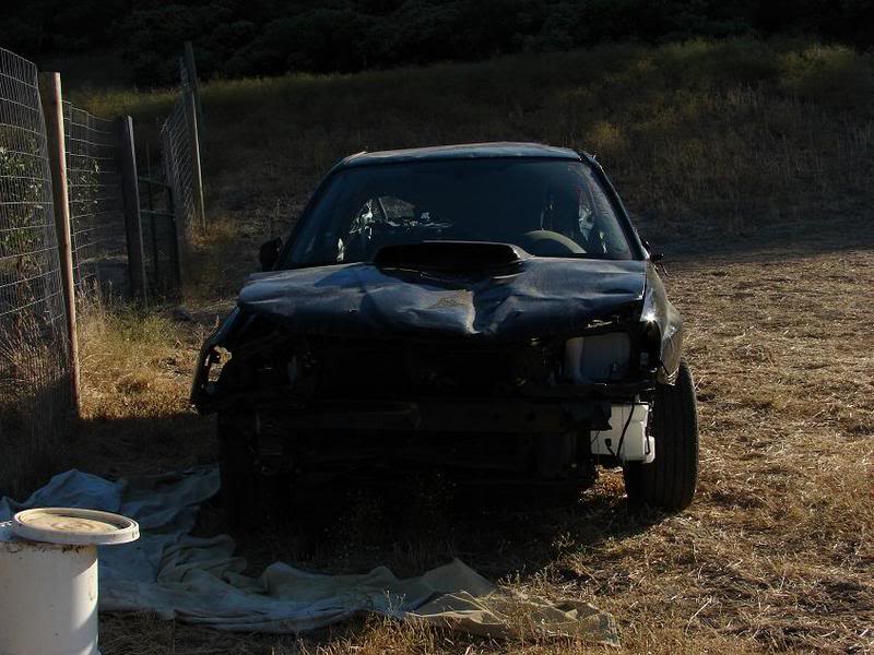 Name:  wrx002.jpg
Views: 128
Size:  83.1 KB