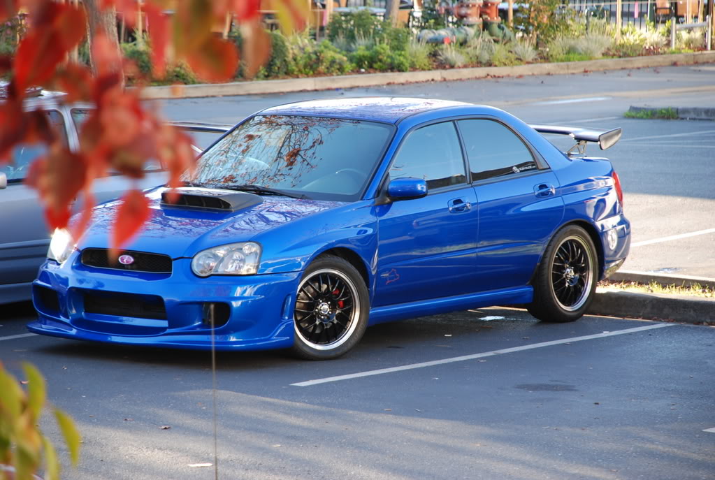 Name:  DSC_0137.jpg
Views: 16
Size:  158.6 KB