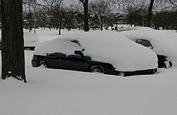 subies in snow-dscn1781.jpg