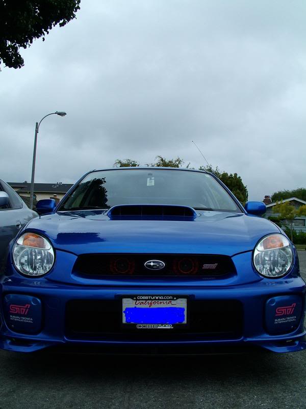 Name:  DSCF5111a.jpg
Views: 34
Size:  48.1 KB