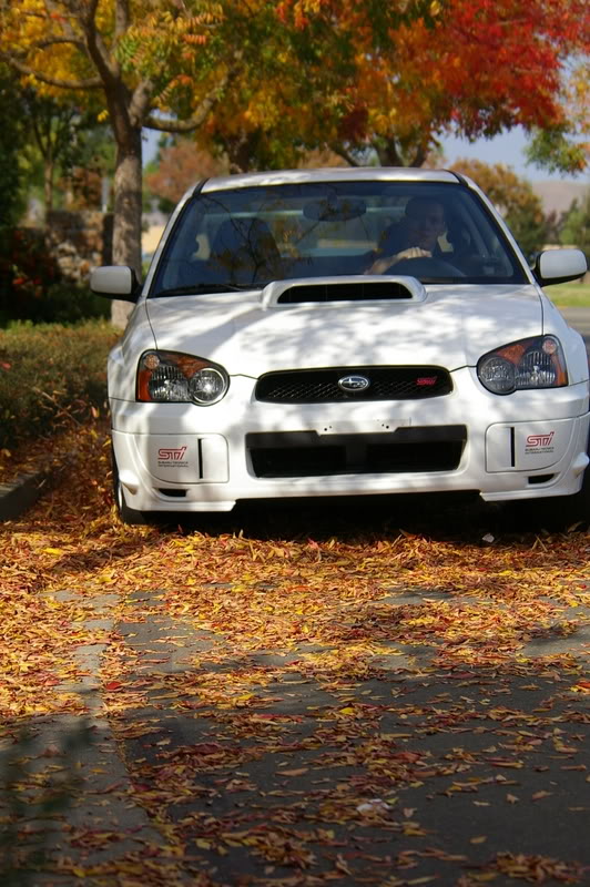 Name:  IMGP5940.jpg
Views: 16
Size:  170.1 KB