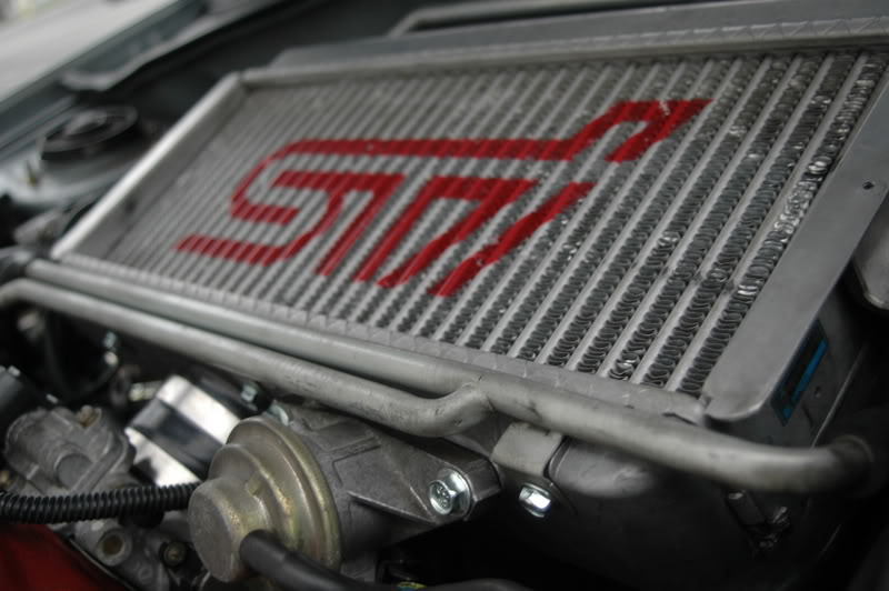 Name:  DSC_0316.jpg
Views: 21
Size:  87.1 KB