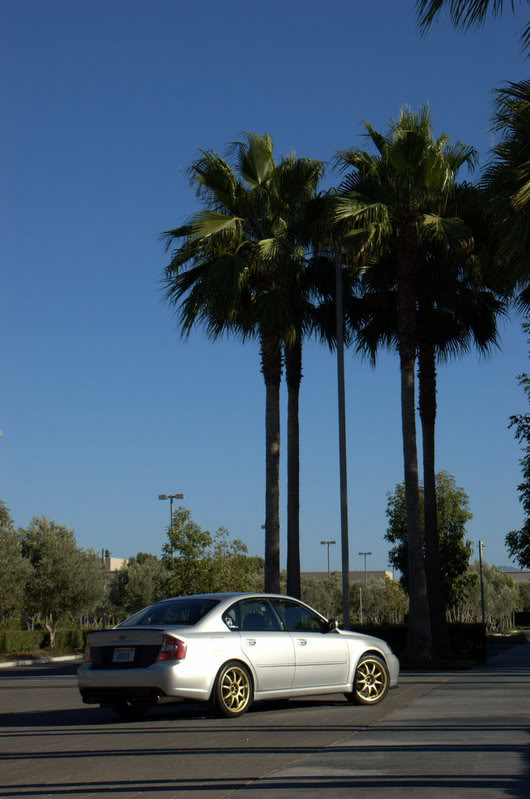 Name:  DSC_0081.jpg
Views: 189
Size:  62.5 KB