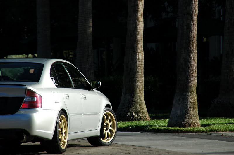 Name:  DSC_0078.jpg
Views: 188
Size:  54.0 KB