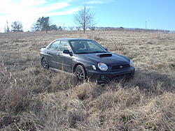 snapped a few pics-dsc00761.jpg