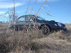 snapped a few pics-dsc00762.jpg