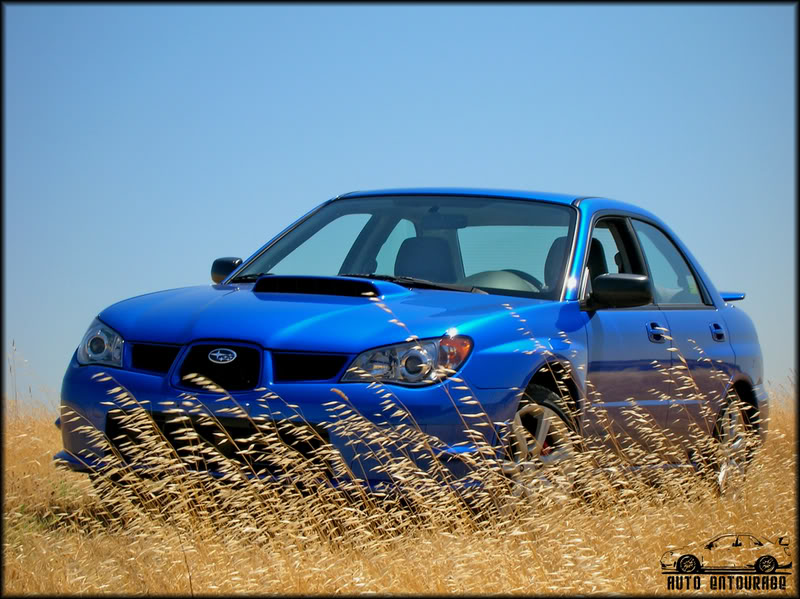 Name:  DSCN0652.jpg
Views: 17
Size:  118.4 KB