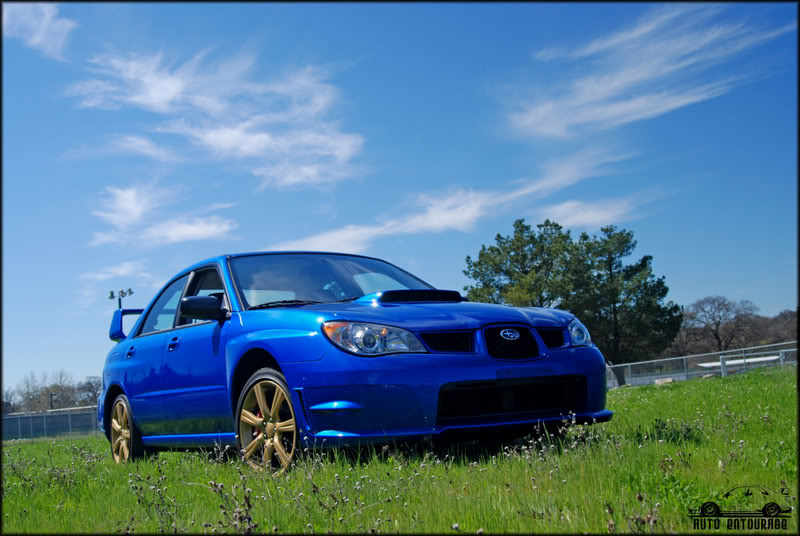 Name:  DSC_0726.jpg
Views: 17
Size:  85.1 KB