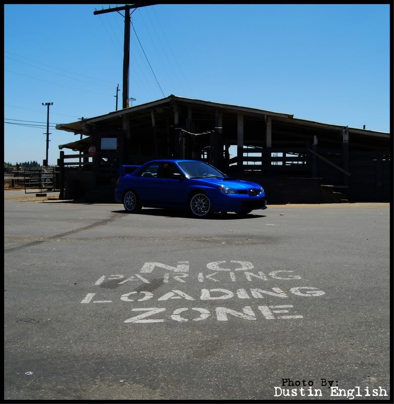 Name:  DSC_0055.jpg
Views: 18
Size:  125.5 KB