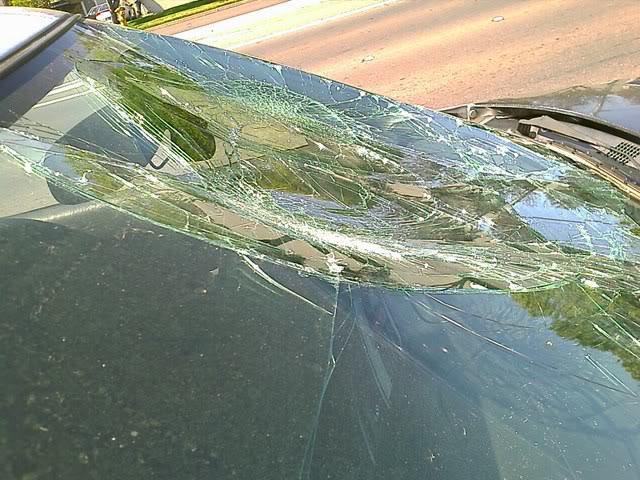 Name:  IMAGE_027.jpg
Views: 13
Size:  86.4 KB
