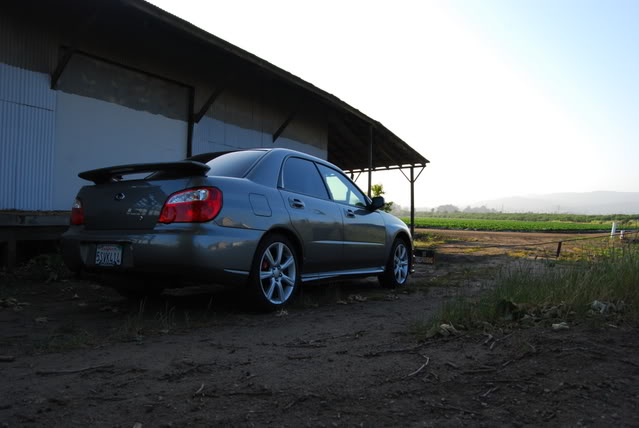 Name:  DSC_0314.jpg
Views: 16
Size:  62.8 KB