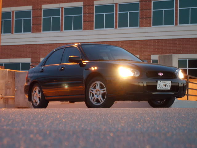 Name:  S5002332.jpg
Views: 60
Size:  87.0 KB