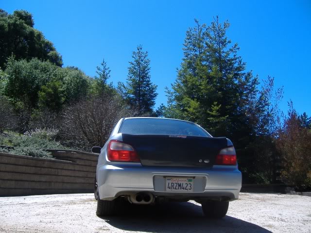 Name:  CFTrunk-03.jpg
Views: 27
Size:  75.7 KB