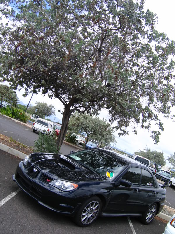 Name:  IMG_1201.jpg
Views: 19
Size:  184.5 KB