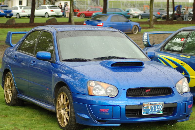 Name:  DSC_0260-1.jpg
Views: 7
Size:  130.1 KB