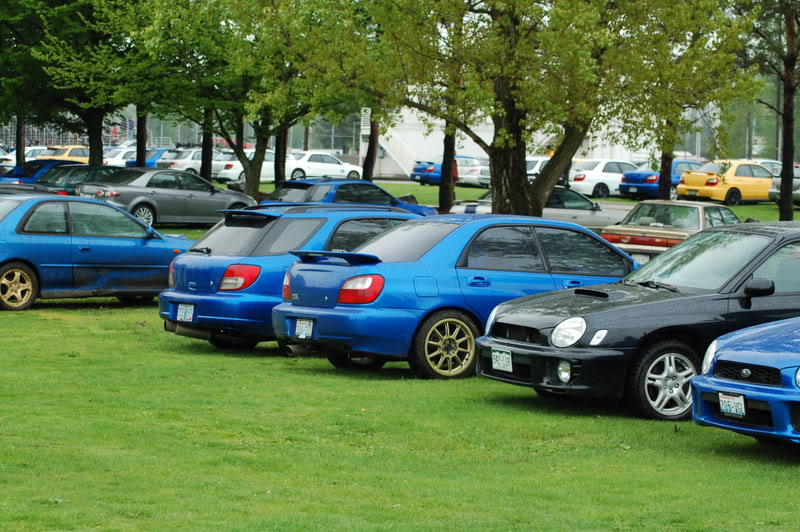 Name:  DSC_0012.jpg
Views: 7
Size:  156.0 KB