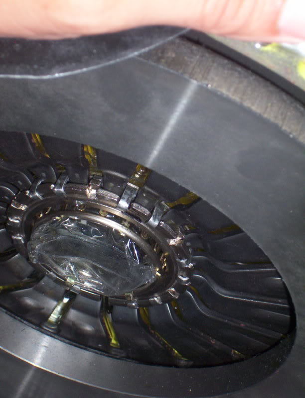 Name:  yamileth082.jpg
Views: 18
Size:  58.1 KB