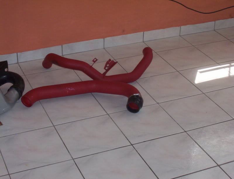 Name:  000_0221.jpg
Views: 17
Size:  38.7 KB