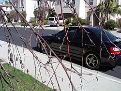 Blacked out ride-tint-1.jpg