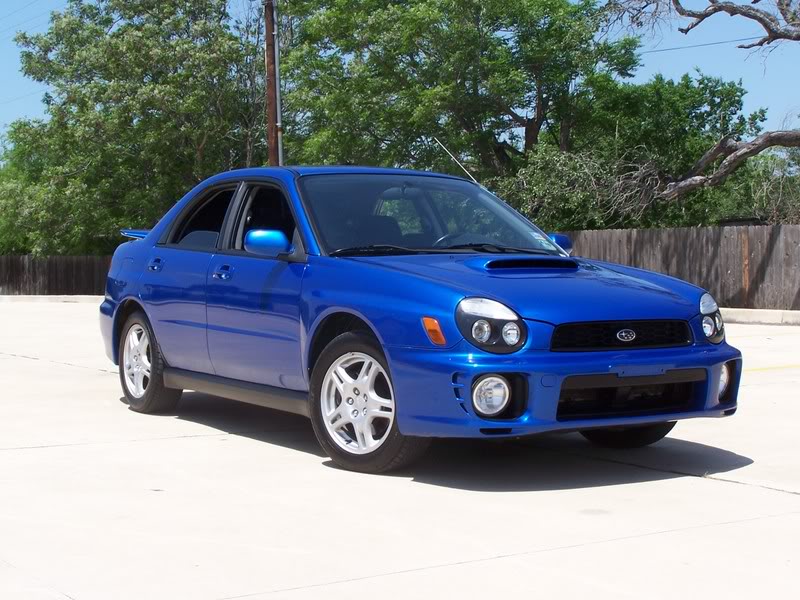 Name:  100_0503.jpg
Views: 16
Size:  108.4 KB