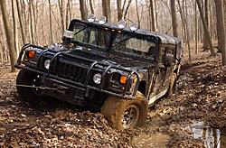 Subies playing in the mud. Let's see em.-backyard-4.jpg