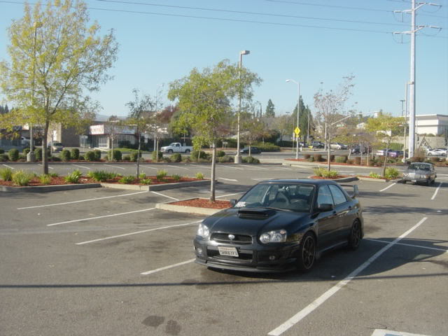 Name:  DSC04046.jpg
Views: 19
Size:  53.0 KB