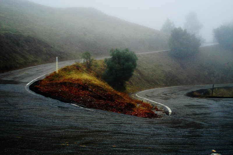 Name:  DSC015881.jpg
Views: 23
Size:  78.4 KB