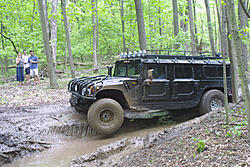 Subies playing in the mud. Let's see em.-wickersham-2.jpg
