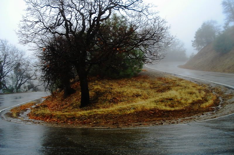 Name:  DSC015871.jpg
Views: 23
Size:  133.5 KB