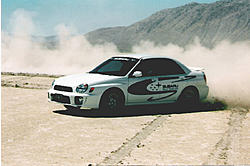 Subies playing in the mud. Let's see em.-scan0016_copy3.jpeg